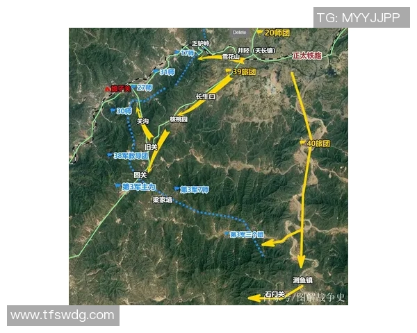 重庆乒乓球队区域防守策略解析与战术创新探讨
